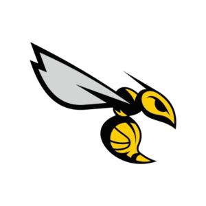 BeezSpellingApp Image